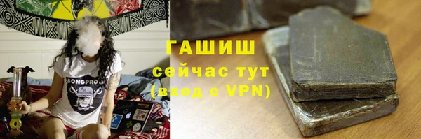 гашик Арсеньев