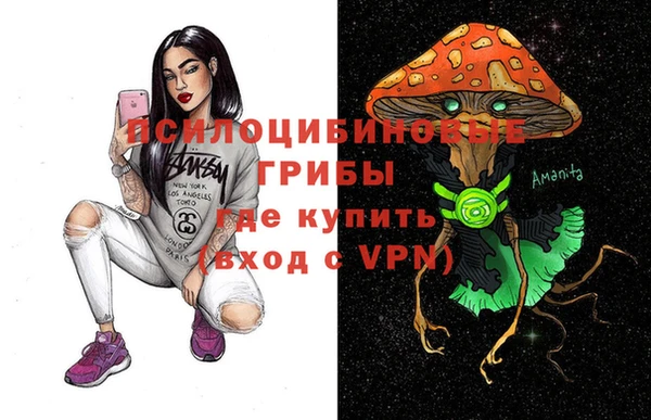 гашик Арсеньев