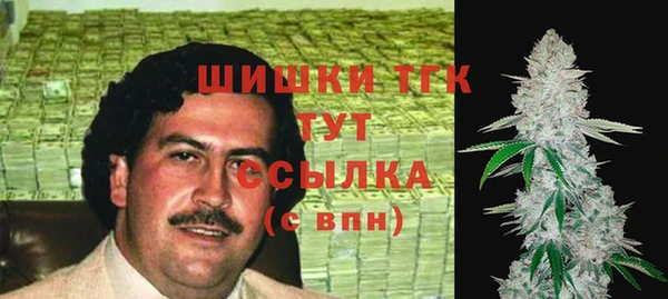 гашик Арсеньев