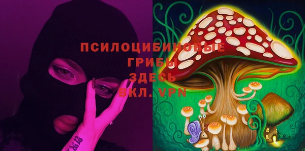 MDMA Premium VHQ Аркадак